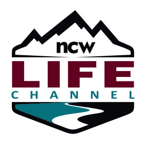 LocalTel Logo update